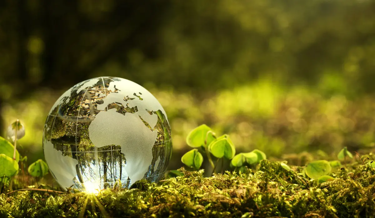 Environmental Protection