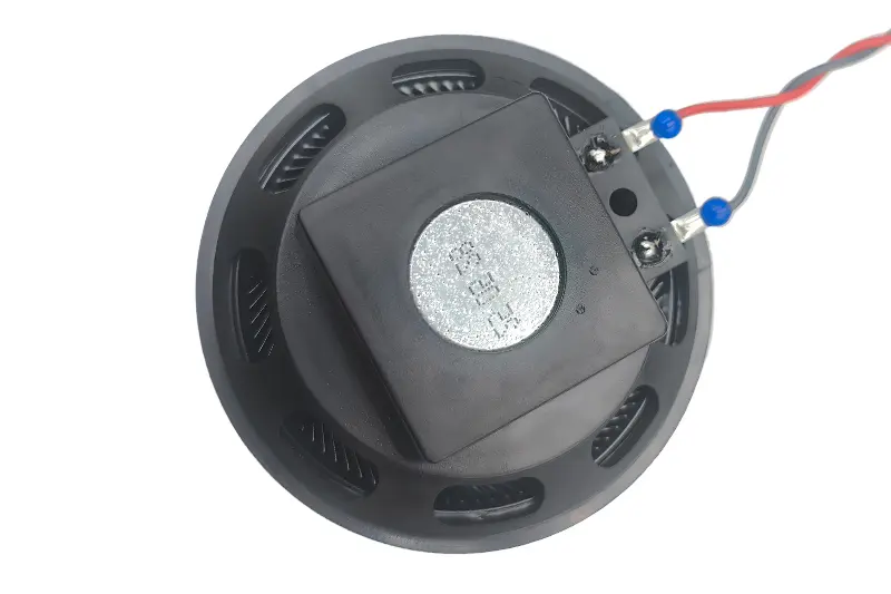 PET Diaphragm Speaker back.jpg