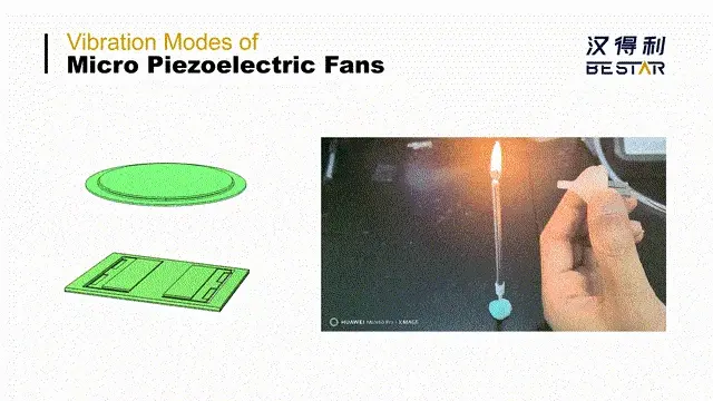 VibrationModesofMicroPiezoelectricFans_EN2-ezgif.com-optimize (2).gif